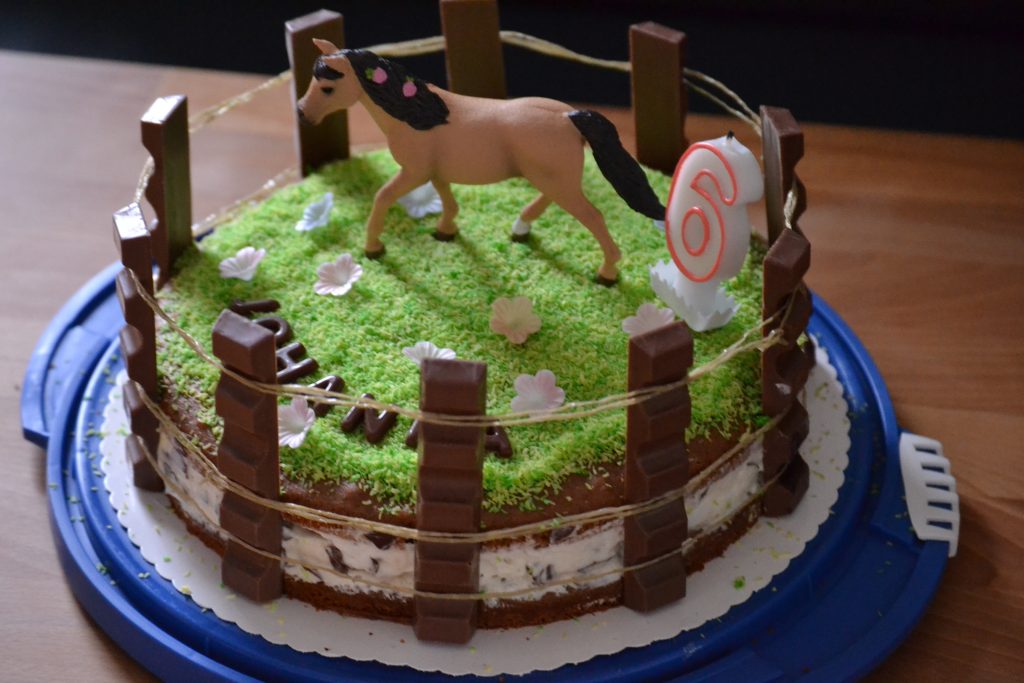 Pferde-Weide Geburtstags-Torte